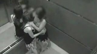 Орон дээр тарган дэгдээхэй байна
