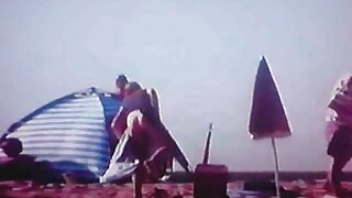 Шаргал үстэй тахиа сорох нь үйлдэл дээр
