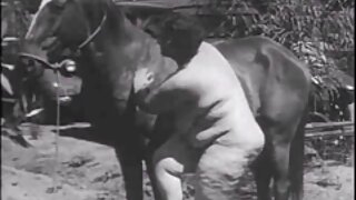 Биеэ камер видео хянах том дугуй төгс илжиг өөрөө хуруу Bang амьд ОДОО wit у